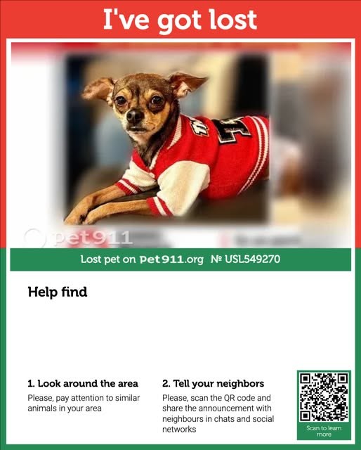 Lost Dog — listing photo
