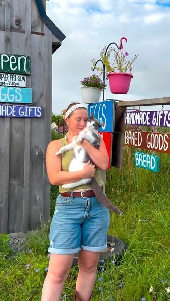 Lost Pet — One of our barn cats Cooper has been missing for about 4 days — additional photo 3