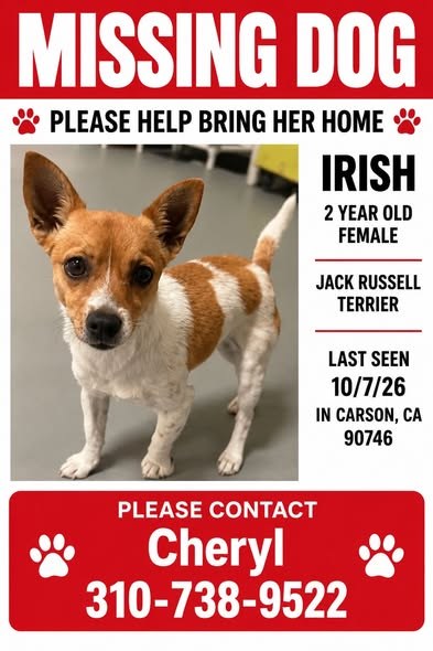 Lost Dog — Last seen at 20108 Nestor Ave — additional photo 3