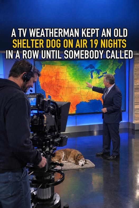 Pet alert — At a TV station in eastern South Dakota, the shelter segment on the Friday six o'clock news runs 90 seconds